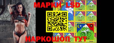 хмурый Новозыбков