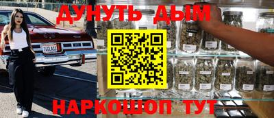 сатива Новокубанск