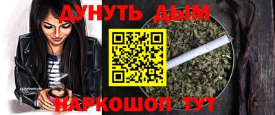 сатива Новокубанск