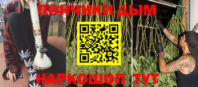 сатива Новокубанск