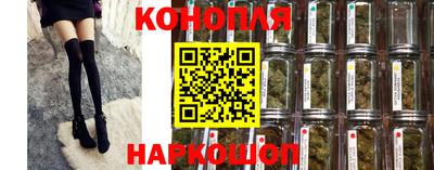 сатива Новокубанск