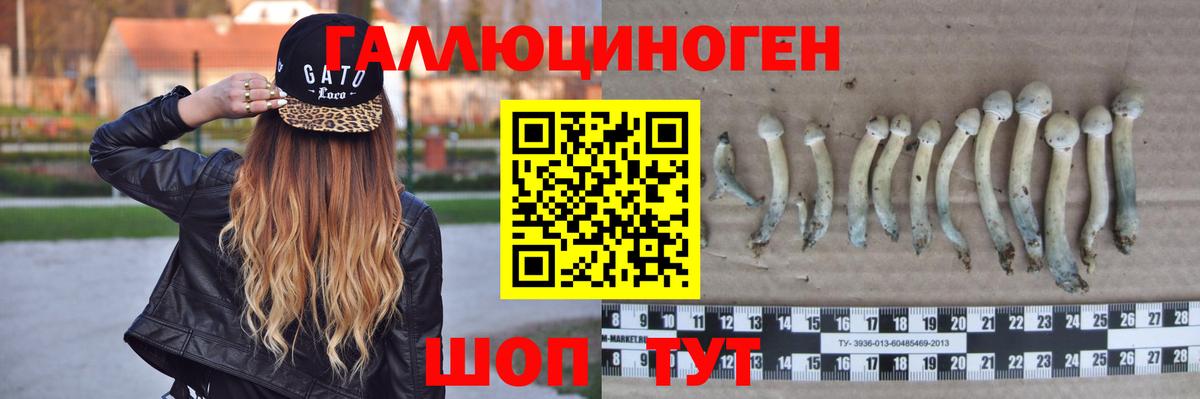 Амфетамин Курск