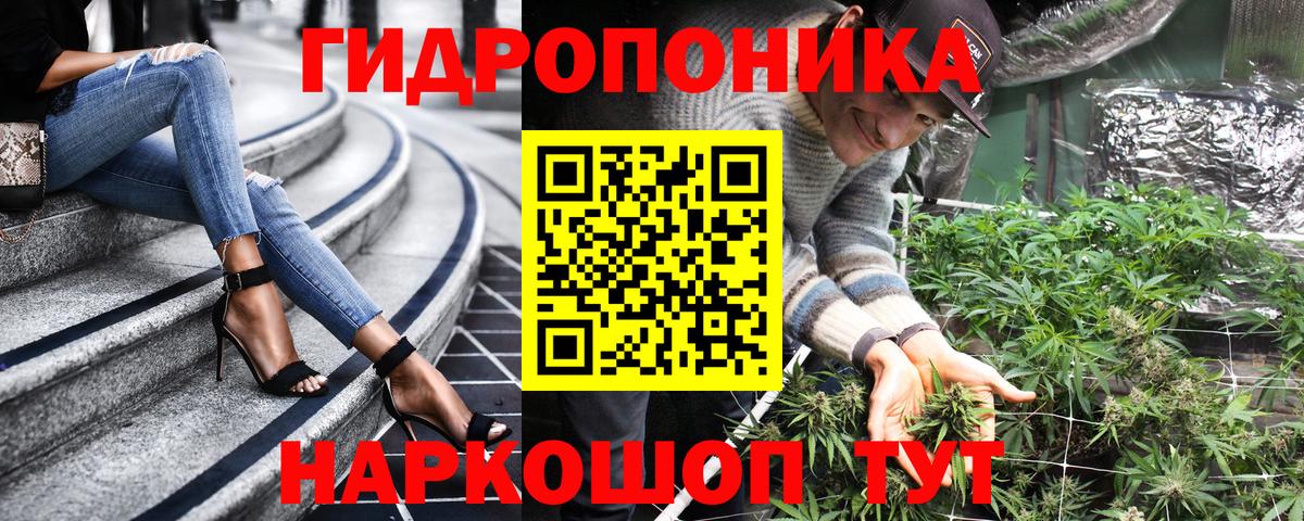 Канабис планчик  Бошки марихуана VHQ  Бошки марихуана план  Каннабис AK-47  Вход с VPN  Курск 